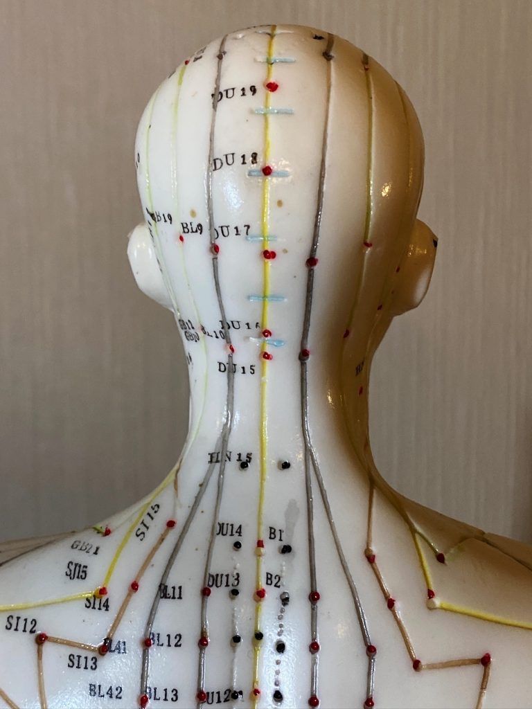 Acupunctuurpunten achterkant hoofd
